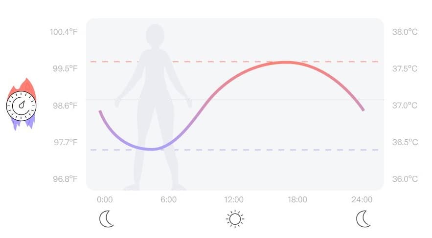 Ideal body temperature curve throughout the day for a healthy person